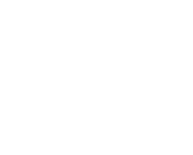 MERIT IMPORTADORA